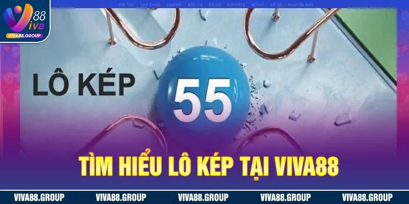 Lô kép viva88